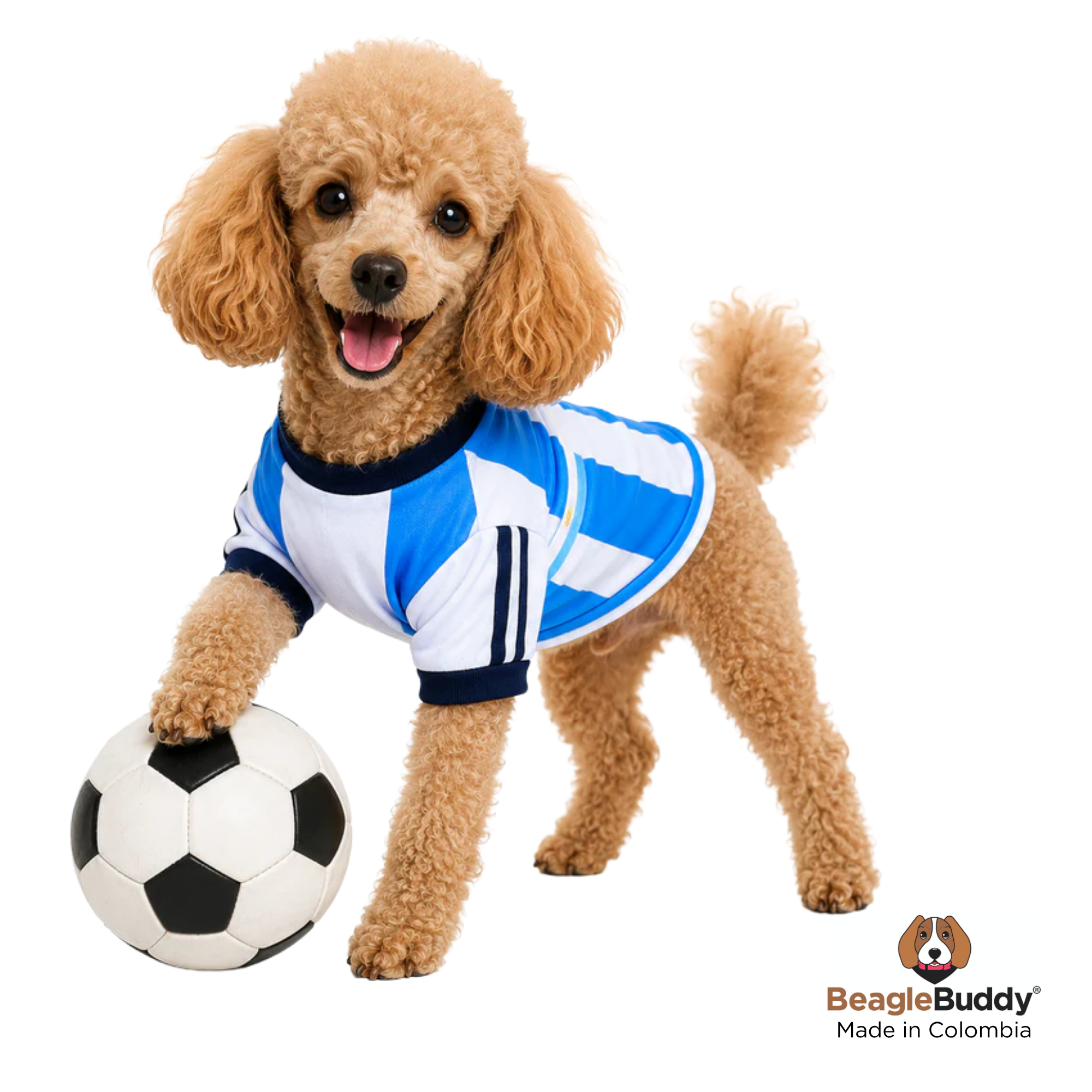 Argentina National Team