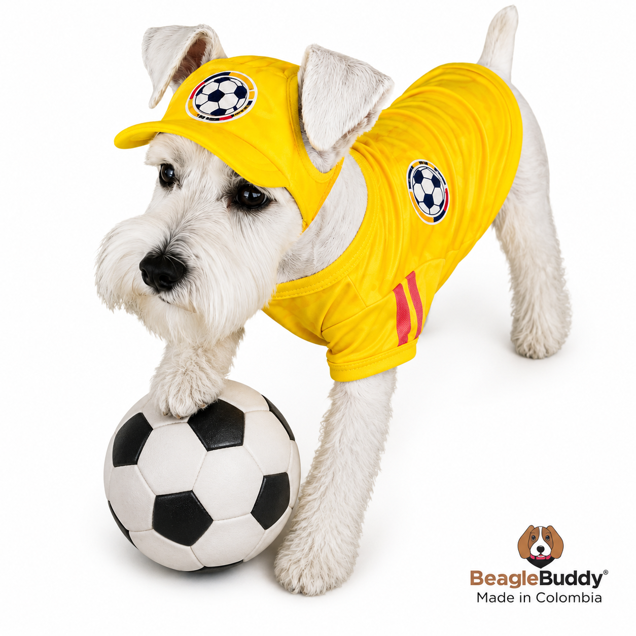 Colombia National Team