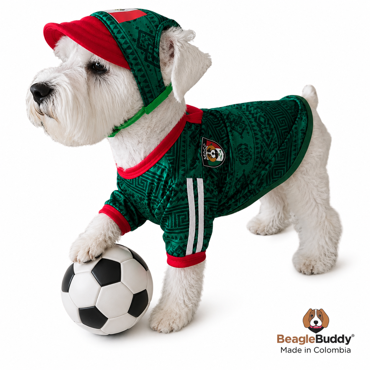 Mexico National Team