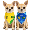 Pañoleta inspirada en Brasil