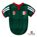 Mexico Dog Soccer Jersey
