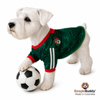 Mexico Dog Soccer Jersey