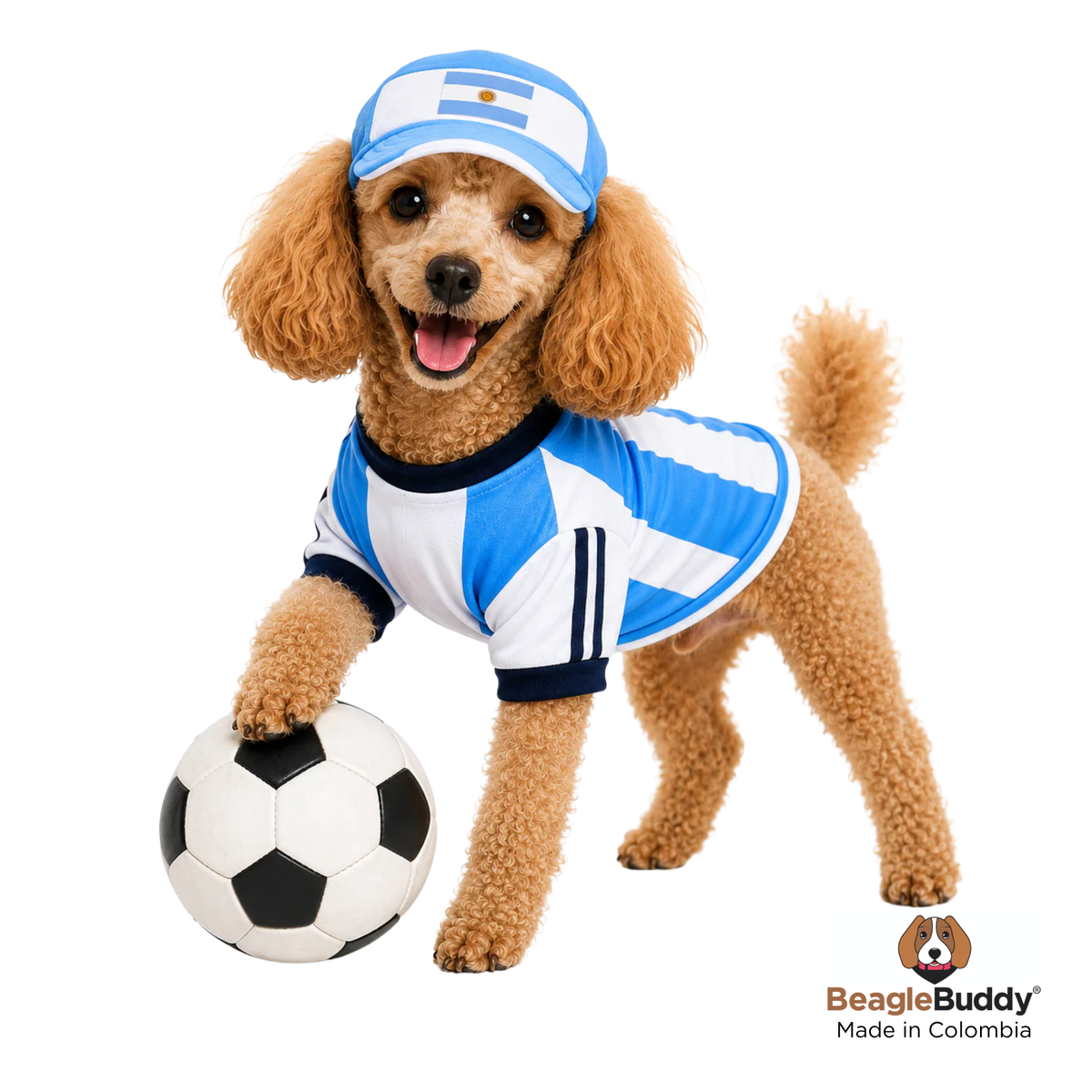Dog wearing an Argentina-themed outfit with a soccer ball on a white background