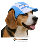 Dog wearing a blue and white cap with 'BeagleBuddy' branding on a white background