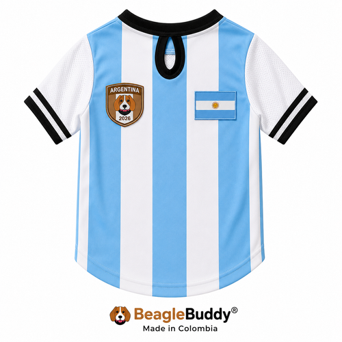 Dog jersey with Argentina flag design and 'Beagle Buddy' branding