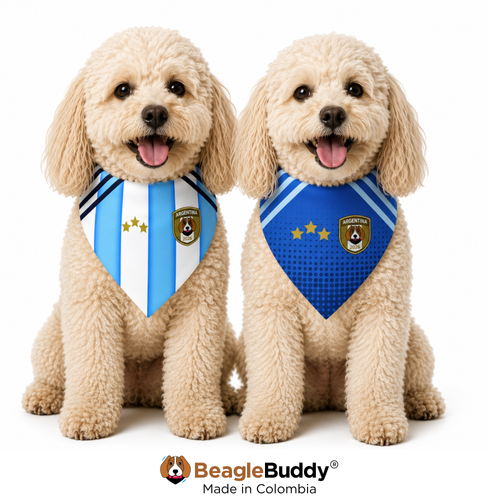 Two dogs wearing bandanas with Argentina and European flags, sitting side by side on a white background. BeagleBuddy logo visible.