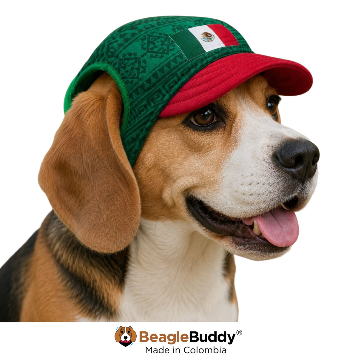 Dog wearing a green and red cap with a visible brand logo on a white background