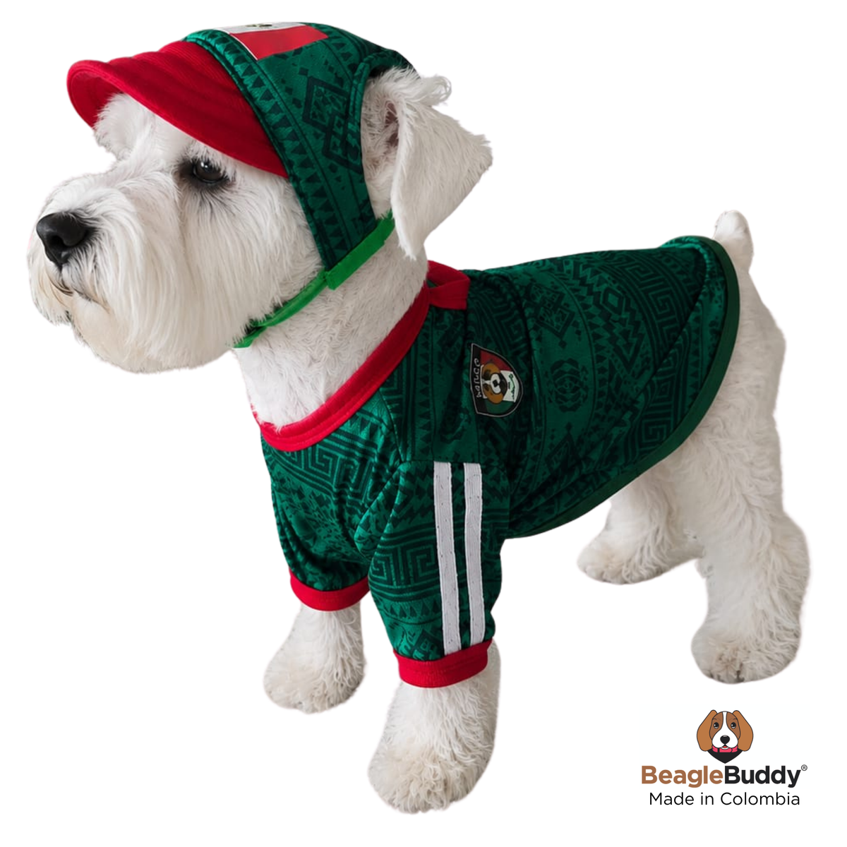 Dog wearing a green and red outfit with a matching cap, standing on a white background.