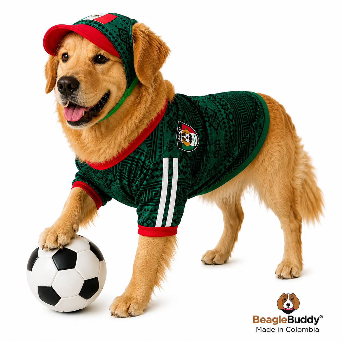 Dog wearing a green sports outfit with red accents, holding a soccer ball on a white background.