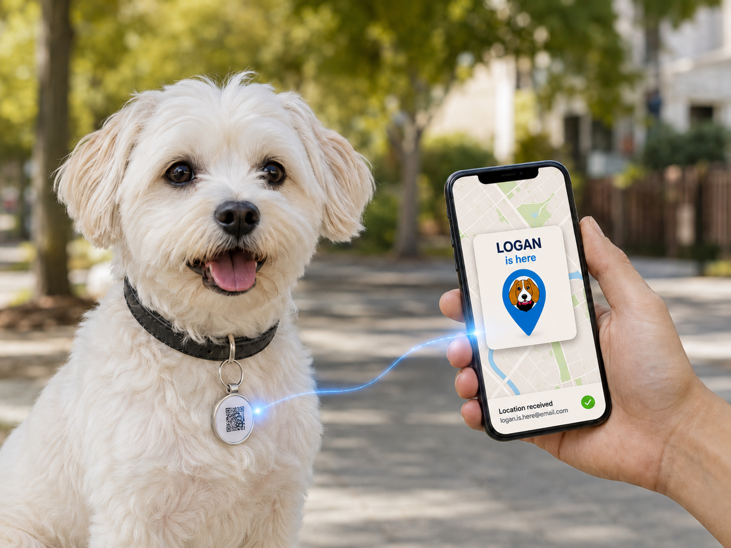White dog wearing a collar with a pet tracking device, held by a person with a smartphone showing the app.