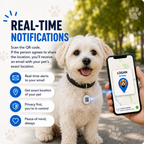 Dog wearing a pet tracker with a smartphone displaying real-time location app, set against a blurred outdoor background.