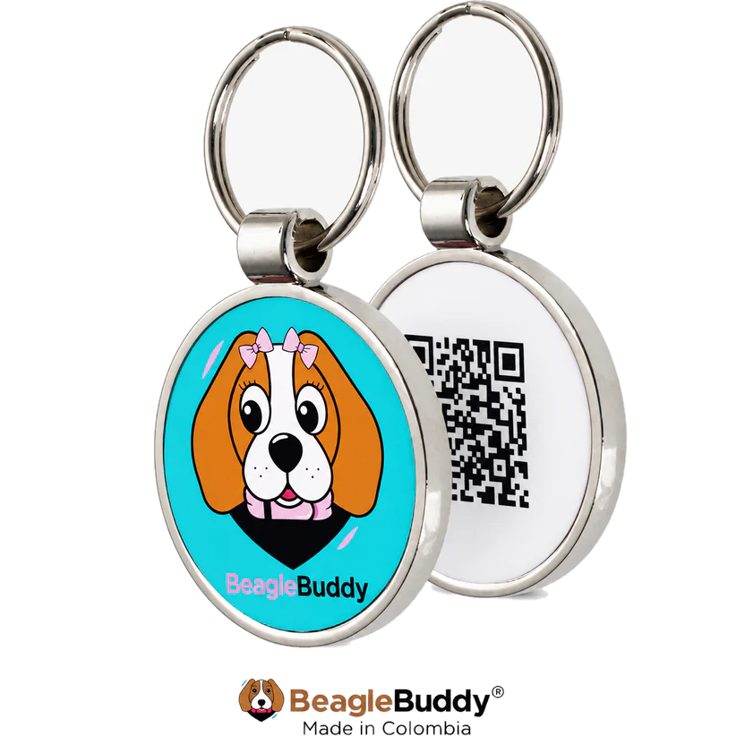 Pet tag with QR Code branded 'BeagleBuddy'.