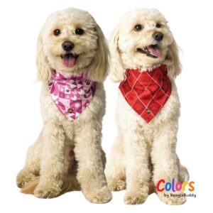 Mix Scarf