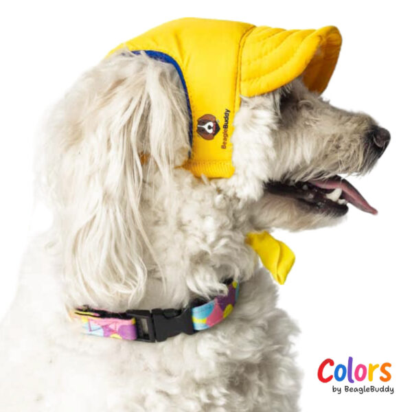 Yellow Cap