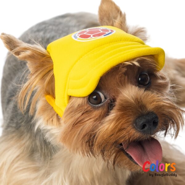 Selection Cap