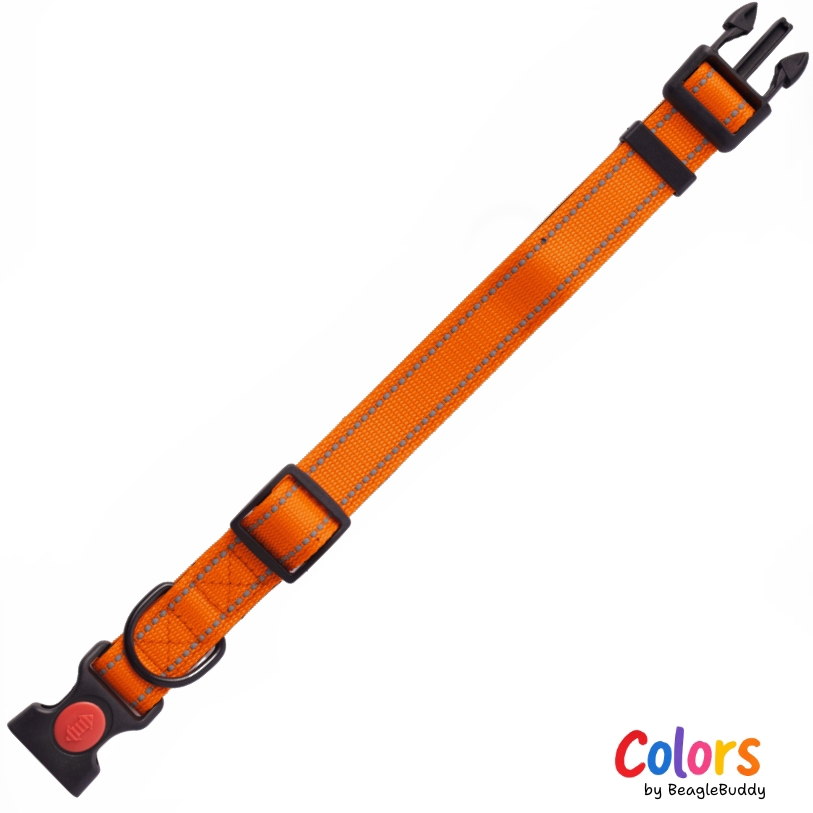 GALERIA DE IMAGENES DE PRODUCTO WEB - Collar Reflectivo naranja