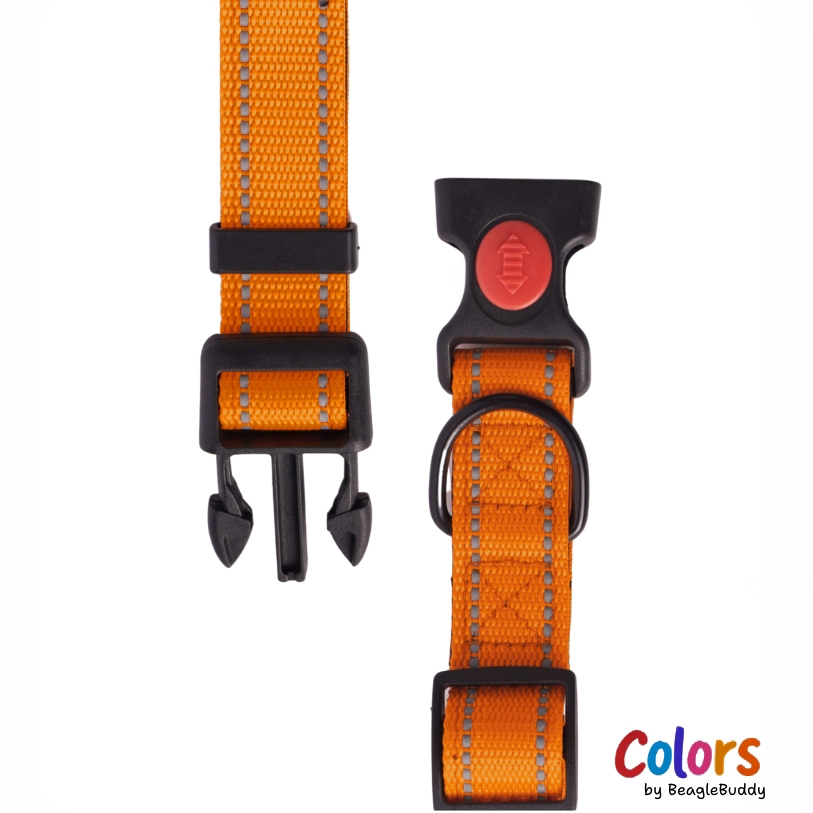 GALERIA DE IMAGENES DE PRODUCTO WEB - Collar Reflectivo naranja