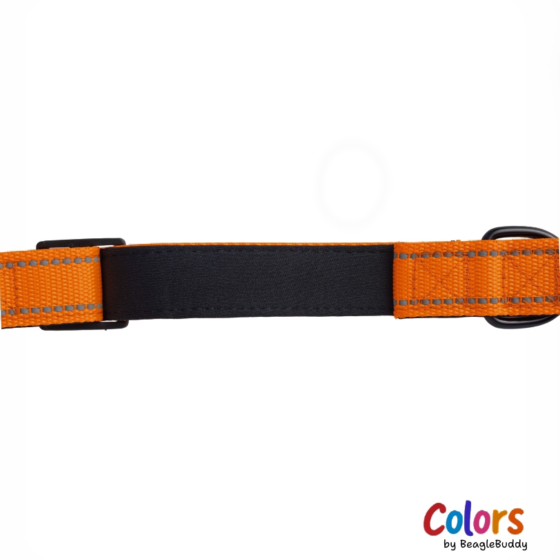 GALERIA DE IMAGENES DE PRODUCTO WEB - Collar Reflectivo naranja
