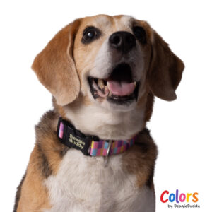 Rope collar Ref. CANDY
