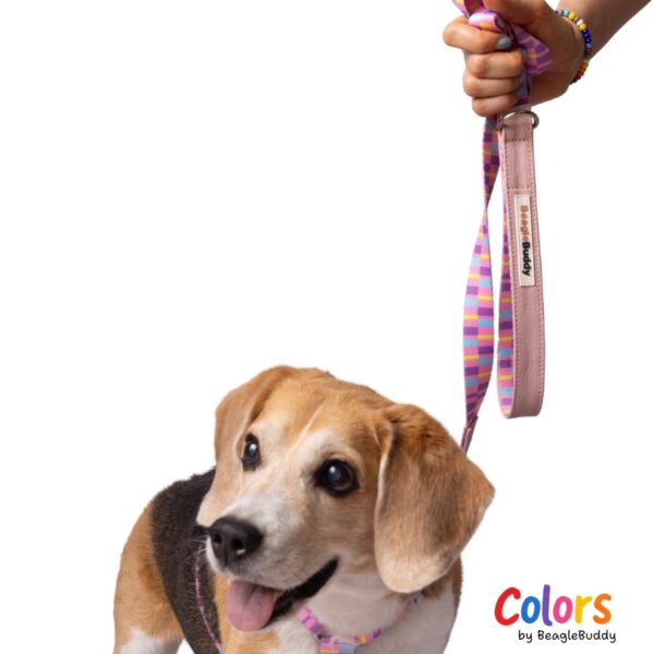 Vegan leather strap and webbing Ref. CANDY