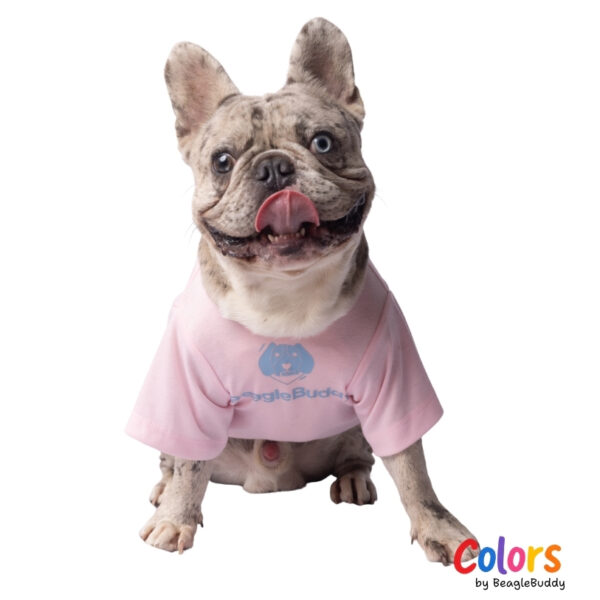 FREE LIVE Pink T-Shirt