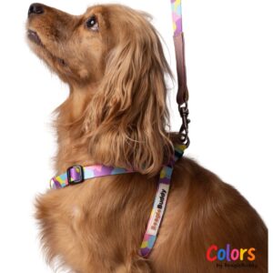 "Y-Type" Harness Ref. LUNA