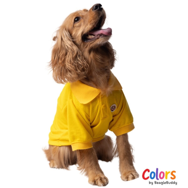 Yellow Polo Shirt
