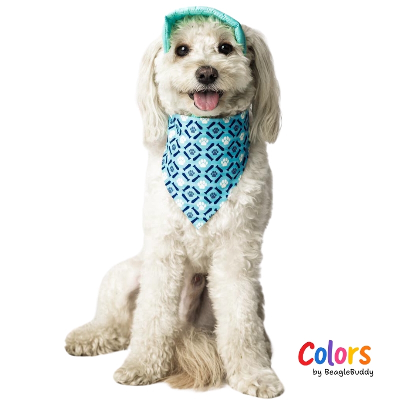 GALERIA DE IMAGENES DE PRODUCTO WEB - panoleta pawgrid colors (2