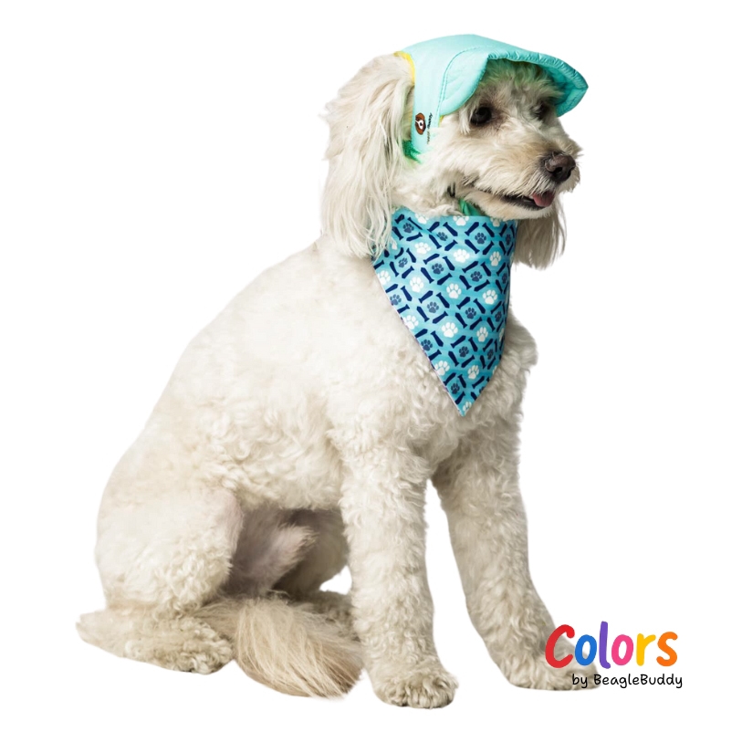 GALERIA DE IMAGENES DE PRODUCTO WEB - panoleta pawgrid colors