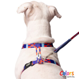 "H-type" harness Ref. CHISPA