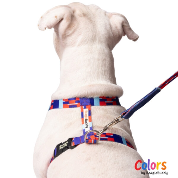 "H-type" harness Ref. CHISPA