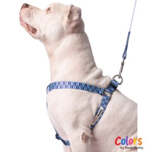 "Y-Type" Harness Ref. BRISA