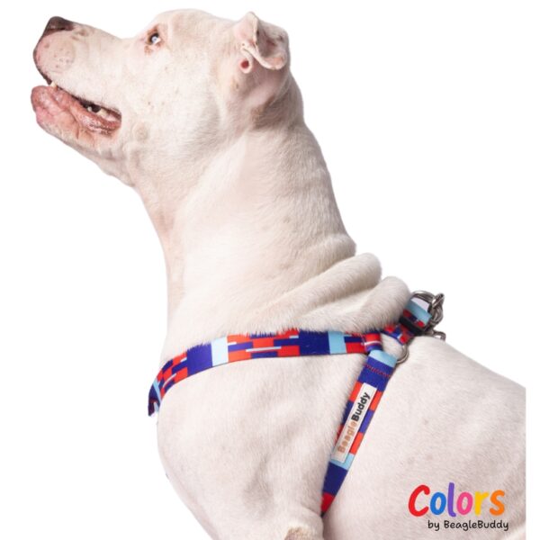 "Y-Type" Harness Ref. CHISPA