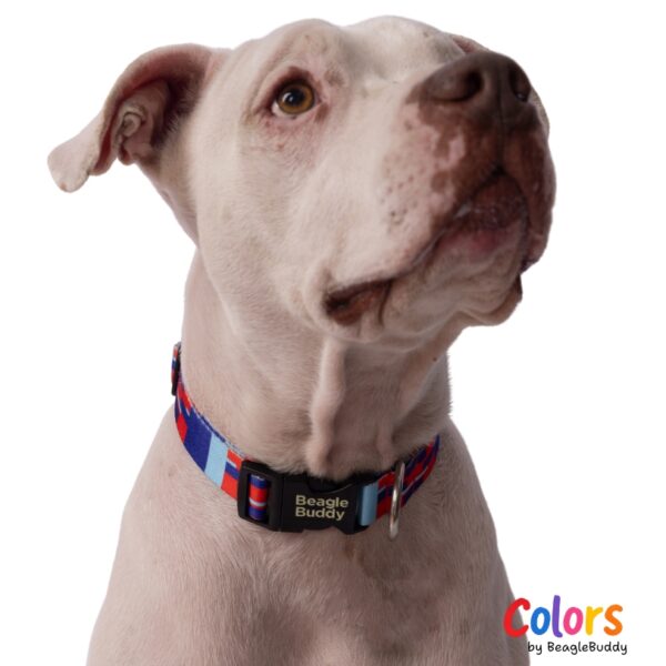 Rope collar Ref. CHISPA