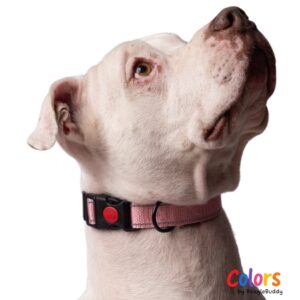 Dog Collar Pink