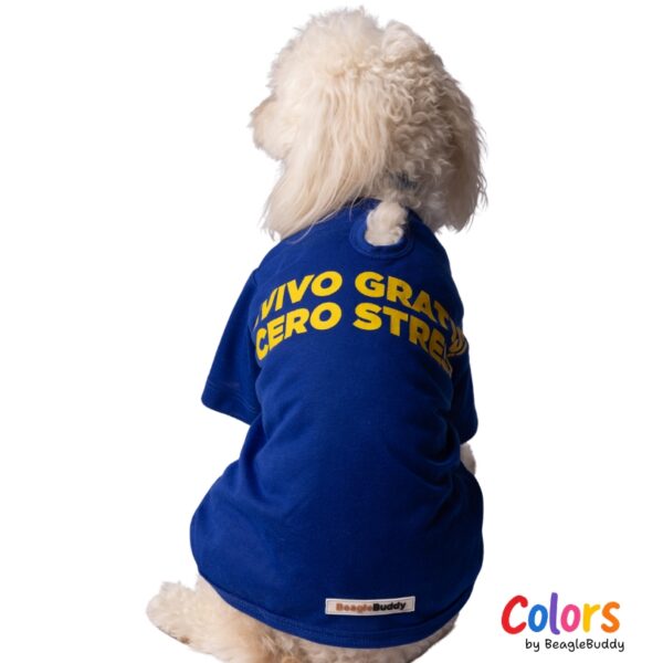 FREE BRIGHT BLUE T-SHIRT