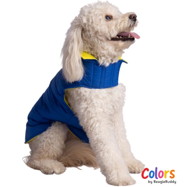 Reversible vest Blue Yellow
