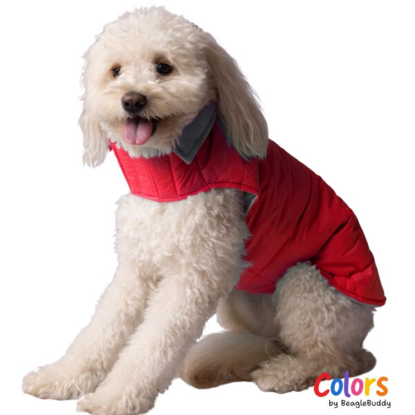 Reversible vest Red Blue