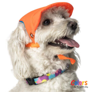 Dog Hat Orange