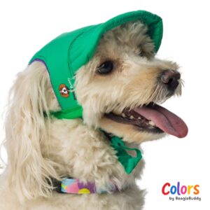 Dog Hat Verde