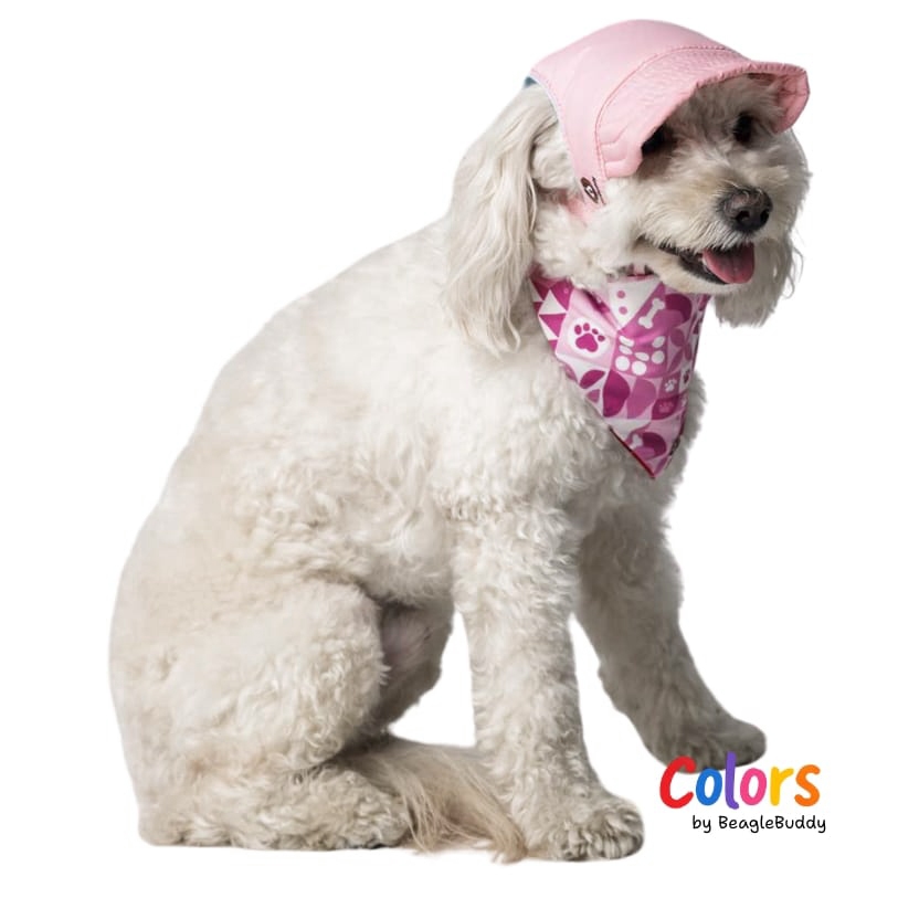 poodle-con-gorra-y-MIX-rosada.jpg