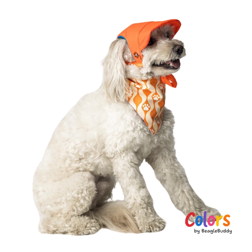 GALERIA DE IMAGENES DE PRODUCTO WEB - 56