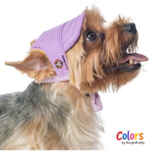 Dog Hat Lilac